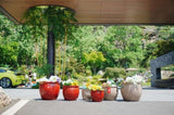 Set of 3 Ceramic Flowerpot, Modern Planter for Patio, Garden, Windowsill - Red W3273P321489
