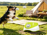 Automatic Dog Ball Launcher, 5 Balls Included, 3 Distance Settings , for Small & Medium 18798304