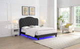 Upholstered Bed Button Tufted with Curve Design - Strong Wood Slat Support - Easy Assembly - Black W2297P268385
