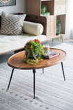 39x26x16" Oval Cofe Table W2078P180410