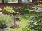 Bird Bath /Bird Feeder Bowl 25907887
