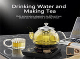 Professional multi-functional glass teapot 800ml fast heating, cooking and brewing integrated 54342656