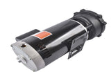 Spa & Hot Tub Pump, Pool Pump, 5HP Dual-Speed 56 Frame 230V 3450W 3722021-1D 91611663