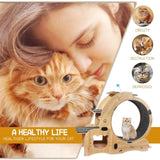 Cat Wheel 6-in-1 Cat Exercise Wheel,Upgraded Cat Wheel Exerciser for Indoor Cats,Large Cat W1790133437