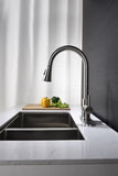 Kitchen Faucet with Pull Out Spraye 91245310