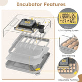 48 Egg Incubator for Hatching Chicken, Duck, Quail & Parrot Eggs Automatic Egg Turning, Humidity 55831311