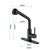 Single-Handle Pull-Out Sprayer Kitchen Faucet in Stainless Matte Black 23616223