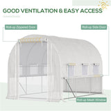 Mini Walk-in Greenhouse 06744769