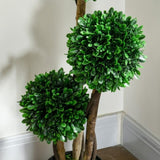Artificial Plant/Green plants 23437048