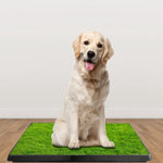 ZUN Dog Toilet Indoor Puppy Training Pad, Dog Potty Pet Training Grass Mat, Removable Waste Tray for 07162018