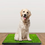 ZUN Dog Toilet Indoor Puppy Training Pad, Dog Potty Pet Training Grass Mat, Removable Waste Tray for 07162018