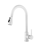 Kitchen Faucet with Pull Out Spraye 61000236