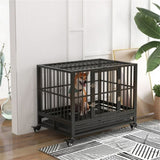 Dog CrateDog Cage 56552537