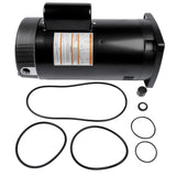 B2842 1.5HP Full Rated Square Flange Pool Pump Motor Replacement for Motor SQ1152 B842 EB842 B849 74653493