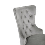 Erica 2 Piece Stainless Steel Legs Chair Finish with Velvet Fabric in Light Gray 808857825940