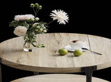 Modern minimalist round coffee table, 29.61-inch MDF material double-layer coffee table, open W1727P251175