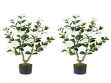 2 Pack White Artificial Camellia Tree with Blooming Flower 75346222