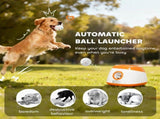Automatic Dog Ball Launcher 27739063