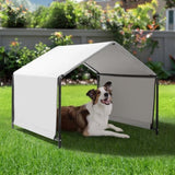 4*4*3.3FT Dog Tent for Large Gray 82302407