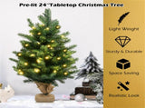 24 Inch Christmas Tree with LED Lights 42717521