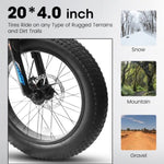 ZUN A20316 20 inch Fat Tire Bike Adult/Teen Full Shimano 7 Speed Mountain Bike, Dual Disc Brakes, High W709P185464