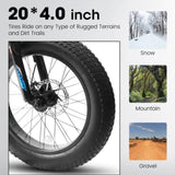 ZUN A20316 20 inch Fat Tire Bike Adult/Teen Full Shimano 7 Speed Mountain Bike, Dual Disc Brakes, High W709P185464