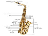 Alto Drop E Paint Gold Saxophone Paint Gold 25180517