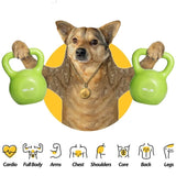 Kettlebell Sets, Strength Training Kettlebells Weight Set for Women, Vinyl Coated Kettle Bell for 02037296