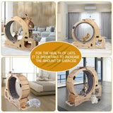 Cat Wheel 6-in-1 Cat Exercise Wheel,Upgraded Cat Wheel Exerciser for Indoor Cats,Large Cat W1790133437