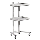 2 Tier Beauty Salon SPA Rolling Cart with Double Storage Tray Stainless Steel 02610336