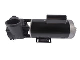 Spa Pump 3721221-1D 56-Frame 3 HP 230 Volts 2-Speed with 2" Intake 2" Discharge 25268087