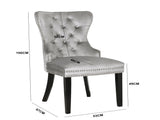 Erica 2 Piece Wood Legs Dinning Chair Finish with Velvet Fabric in Light Gray 808857794864