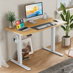 ZUN Standing Desk Adjustable Height 63 x 24 Inch Electric Computer Stand Up Desk with 3 Memory Presets, W2201P277620