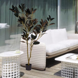 Simulated green plant pot indoor living room home iron tree leaves tree bonsai home W2945P278470