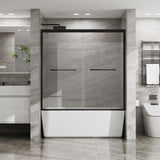 Goodyo Double Sliding Bathtub Shower Door 48 in. W x 60 in. H Aluminum Framed Shower Enclosure for D163107685