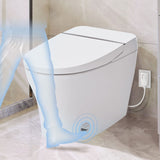 ZUN Smart Toilet Bidet Combo with Self-Cleaning Nozzle,Upmarket Compact Dual Flush Toilet 1/1.28 WF314231AAA