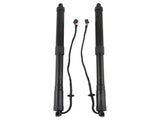 Pair Electric Tailgate Trunk Lift Support Fit For Hyundai Santa Fe Sport 2015-2018 24201584