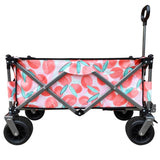 Utility Park Garden Cart Tool Customized Color Folding Camping Trolley Outdoor Picnic Beach Wagon, W321P297095