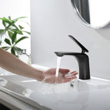 Single Hole Bathroom Sink Faucet with Pop Up Drain and Water Supply Hose, Single Handle Bathroom W1224P227850