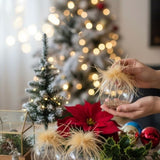 4PCS Set 4.7" Christmas Glass Ball Ornaments Wall Hanging Decorations for Holiday Tree Party FBA 09891991