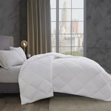 Cotton Down Alternative Featherless Comforter B03595046