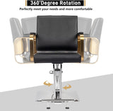 Salon Chair Styling Barber Chair, Beauty Salon Spa Equipment with Heavy Duty Hydraulic Pump, 91614347