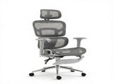 Ergonomic Mesh Office Chair with Lumbar Support, 2D Headrest & Retractable Footrest, Reclining 55060219