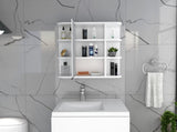 Roseburg 6-Shelf Medicine Cabinet with Mirorr White B06280464