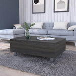 ZUN Boston Lift Top Coffee Table B128P148665