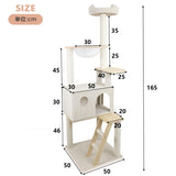 wood cat tree with large condo wood ladder and transparent spacecraft 165cm W243P326634
