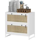 ZUN File Cabinet/ Storage cabinet （Prohibited by WalMart） 74438568