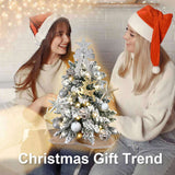 Exquisite Tree with LED Lights, 2ft Small Tabletop Mini White Artificial Xmas Tree with 96189902