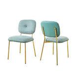 Modern Dining Chairs Set of 2, Beige & Green Upholstered Accent Chairs with Metal Legs N842P284565C