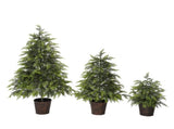 2FT, 3FT, 4FT, 3-Piece Pre-Lit Christmas Tree Set with Warm Glowing Lights, Sturdy Potted Base, and N710P523032F